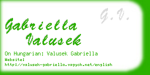 gabriella valusek business card